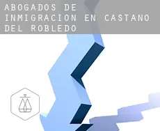 Abogados de inmigración en  Castaño del Robledo