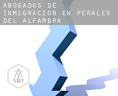 Abogados de inmigración en  Perales del Alfambra
