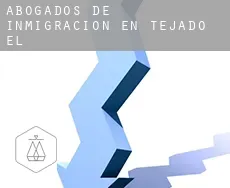 Abogados de inmigración en Tejado (El)