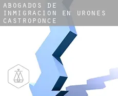 Abogados de inmigración en  Urones de Castroponce