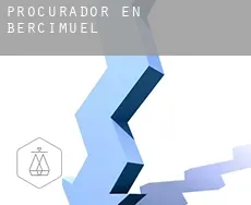 Procurador en  Bercimuel