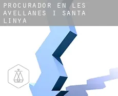Procurador en  les Avellanes i Santa Linya