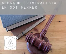 Abogado criminalista en Sot de Ferrer