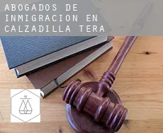 Abogados de inmigración en  Calzadilla de Tera
