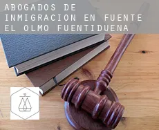 Abogados de inmigración en  Fuente el Olmo de Fuentidueña