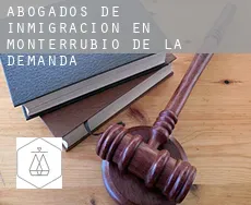 Abogados de inmigración en  Monterrubio de la Demanda