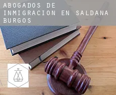 Abogados de inmigración en  Saldaña de Burgos