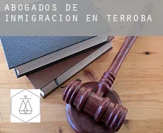 Abogados de inmigración en  Terroba