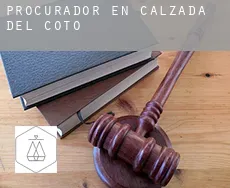 Procurador en  Calzada del Coto