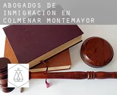 Abogados de inmigración en Colmenar de Montemayor