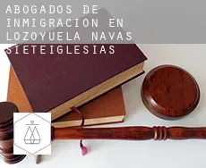 Abogados de inmigración en  Lozoyuela-Navas-Sieteiglesias