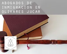 Abogados de inmigración en  Olivares de Júcar