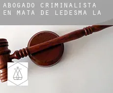 Abogado criminalista en  Mata de Ledesma (La)