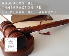 Abogados de inmigración en  Colmenar del Arroyo