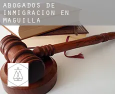 Abogados de inmigración en Maguilla