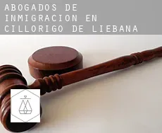 Abogados de inmigración en  Cillorigo de Liébana