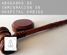 Abogados de inmigración en  Hospital de Órbigo