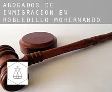 Abogados de inmigración en  Robledillo de Mohernando