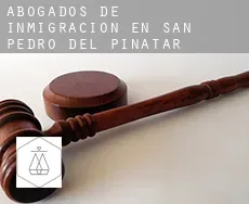 Abogados de inmigración en  San Pedro del Pinatar