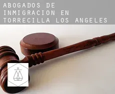 Abogados de inmigración en  Torrecilla de los Ángeles