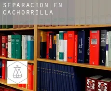 Separación en  Cachorrilla