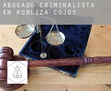 Abogado criminalista en  Robliza de Cojos