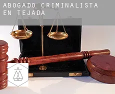 Abogado criminalista en  Tejada