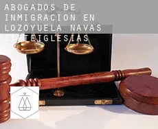 Abogados de inmigración en  Lozoyuela-Navas-Sieteiglesias