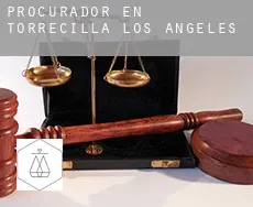 Procurador en  Torrecilla de los Ángeles