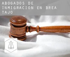 Abogados de inmigración en  Brea de Tajo