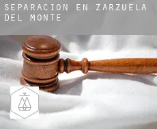 Separación en  Zarzuela del Monte