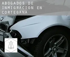 Abogados de inmigración en  Cortegana
