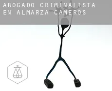 Abogado criminalista en  Almarza de Cameros