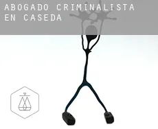 Abogado criminalista en  Cáseda