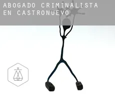 Abogado criminalista en  Castronuevo