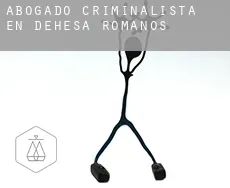 Abogado criminalista en  Dehesa de Romanos