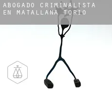 Abogado criminalista en  Matallana de Torío
