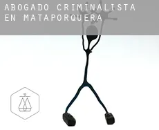 Abogado criminalista en  Mataporquera