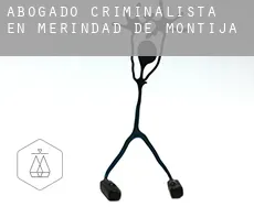 Abogado criminalista en  Merindad de Montija