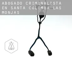 Abogado criminalista en  Santa Colomba de las Monjas