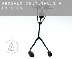 Abogado criminalista en  Sils