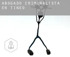 Abogado criminalista en Tineo