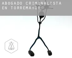 Abogado criminalista en  Torremayor