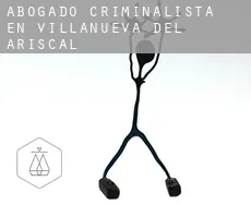 Abogado criminalista en  Villanueva del Ariscal