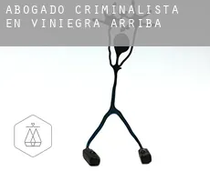 Abogado criminalista en  Viniegra de Arriba