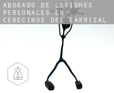 Abogado de lesiones personales en  Cerecinos del Carrizal