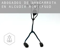 Abogados de bancarrota en  Alcudia de Monteagud