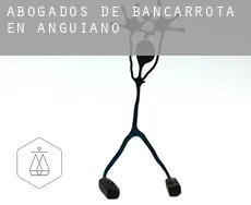 Abogados de bancarrota en  Anguiano