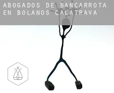 Abogados de bancarrota en  Bolaños de Calatrava