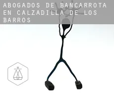 Abogados de bancarrota en  Calzadilla de los Barros